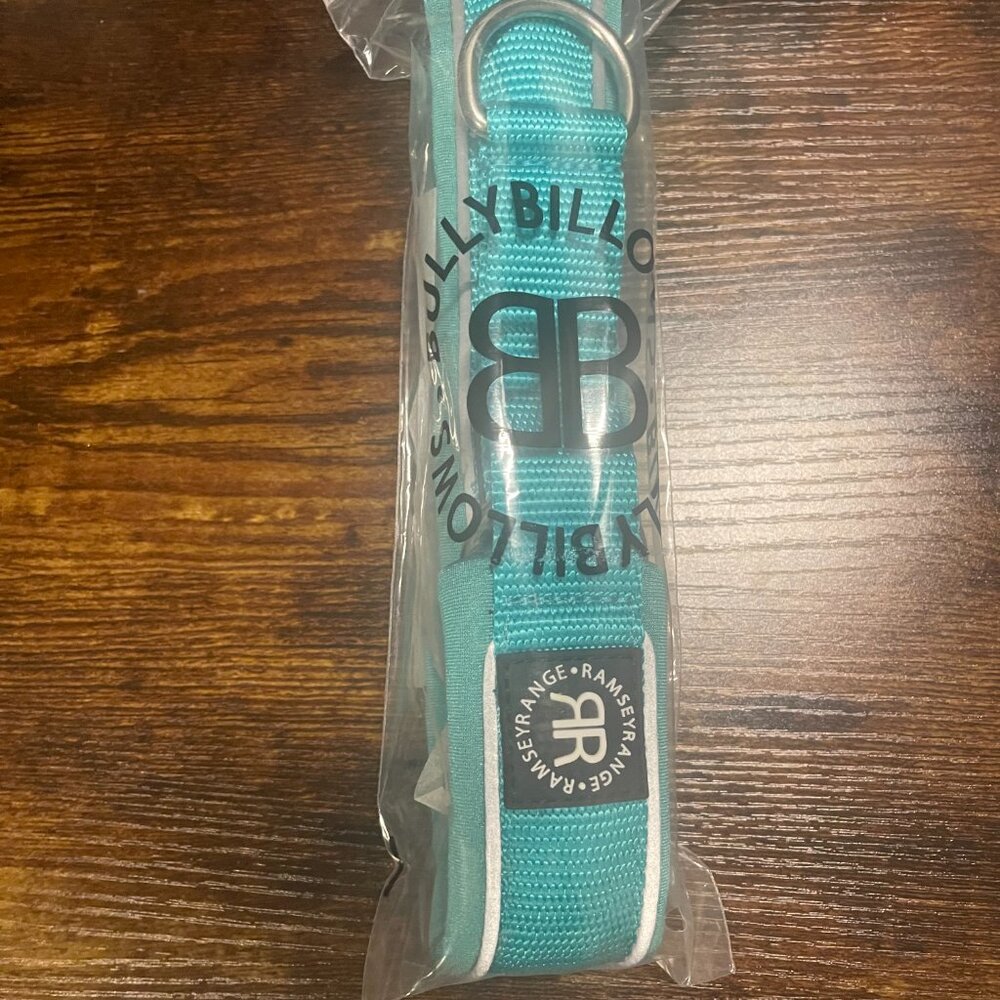 NWT Bully Billows 4cm Slip on Collar | Foam Padded - Turquoise Large OBO